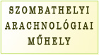 Szombathelyi Arachnológiai Tudományos műhely